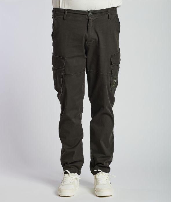 DUSTER CARGO PANTS, ANTRA